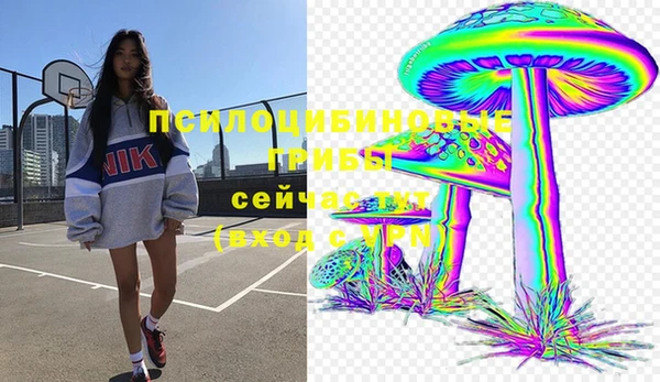 скорость Каменка
