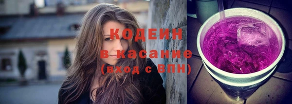 скорость Каменка