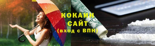 дмт Касимов