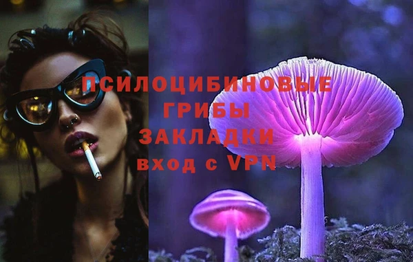 PSILOCYBIN Каменногорск